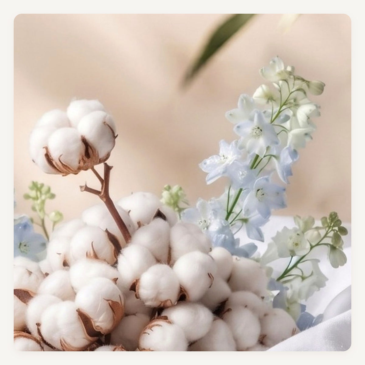 Blue Gardens – fragancia Aroma Home, spray y recarga para difusor